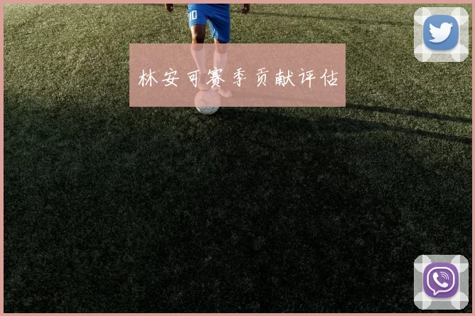 林安可赛季贡献评估