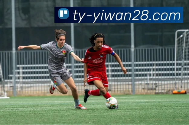 亿万28服务体系